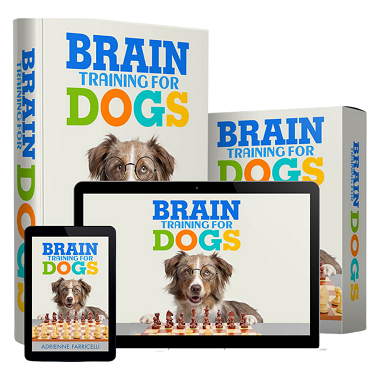 Brain Training for Dogs program